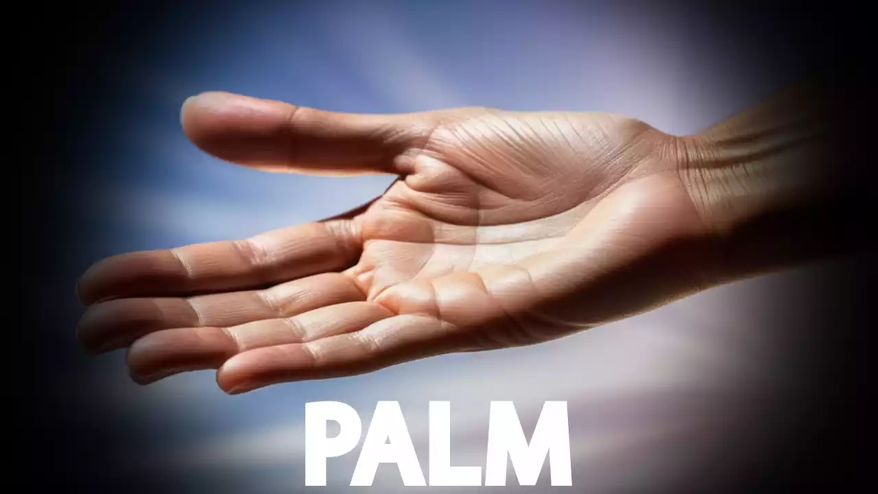 How Your Palm Shows Your Health Condition?