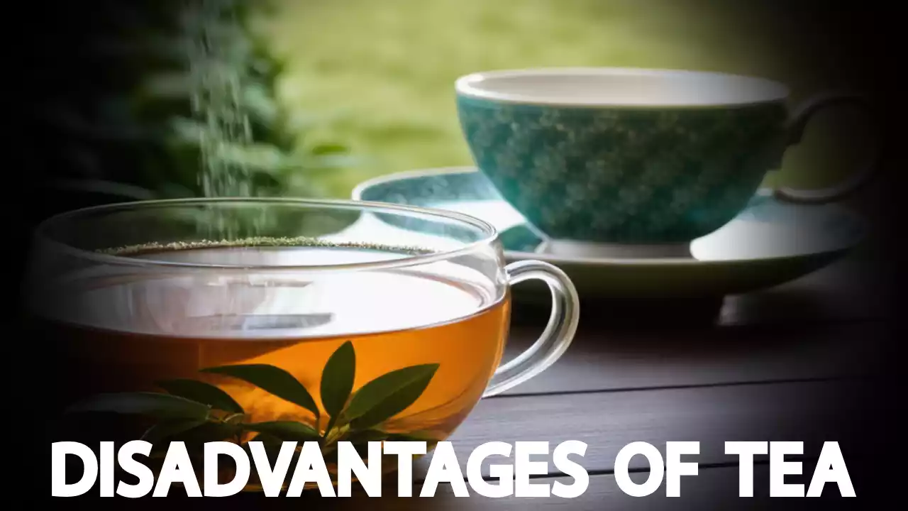 Why Drinking Tea is Harmful For Your Health